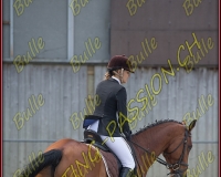 BULLE 0237